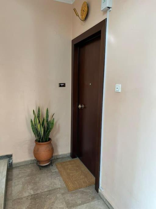 Myrto-Apartments-Atene Esterno foto